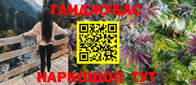 тгк Гусев