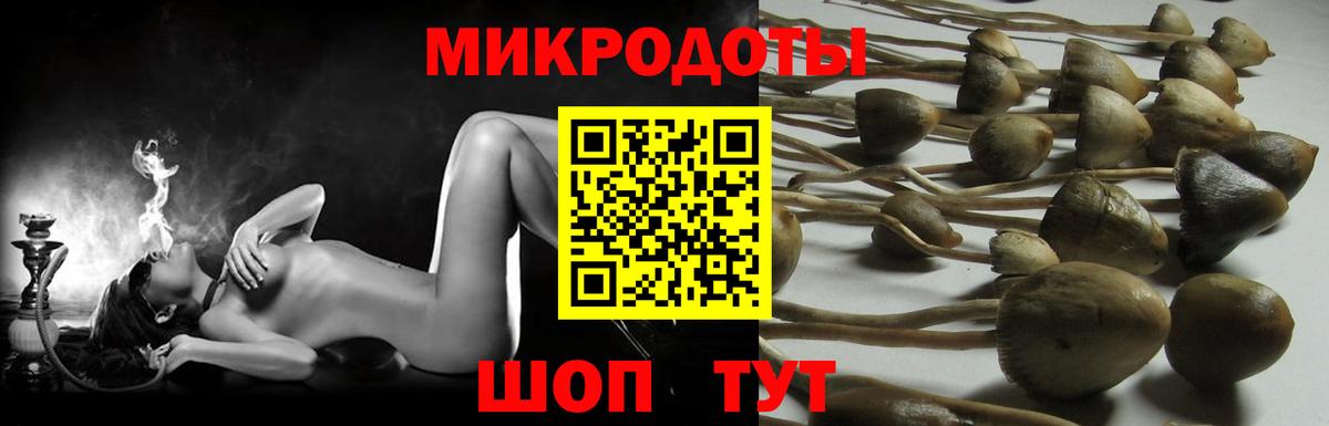 Галлюциногенные грибы мицелий  Псилоцибиновые грибы Cubensis  Красноармейск  Вход с VPN 